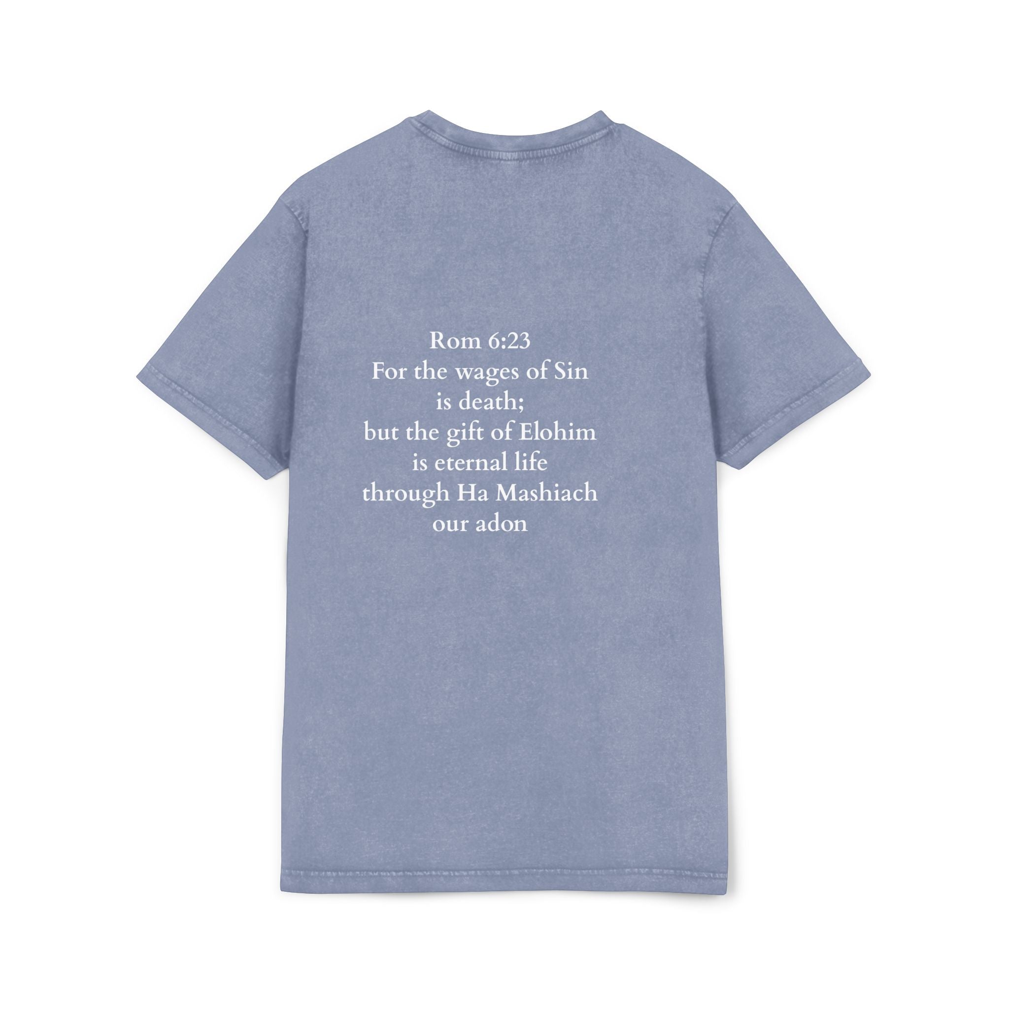 Men’s “Paid in full” Acid Washed Round Neck Tee