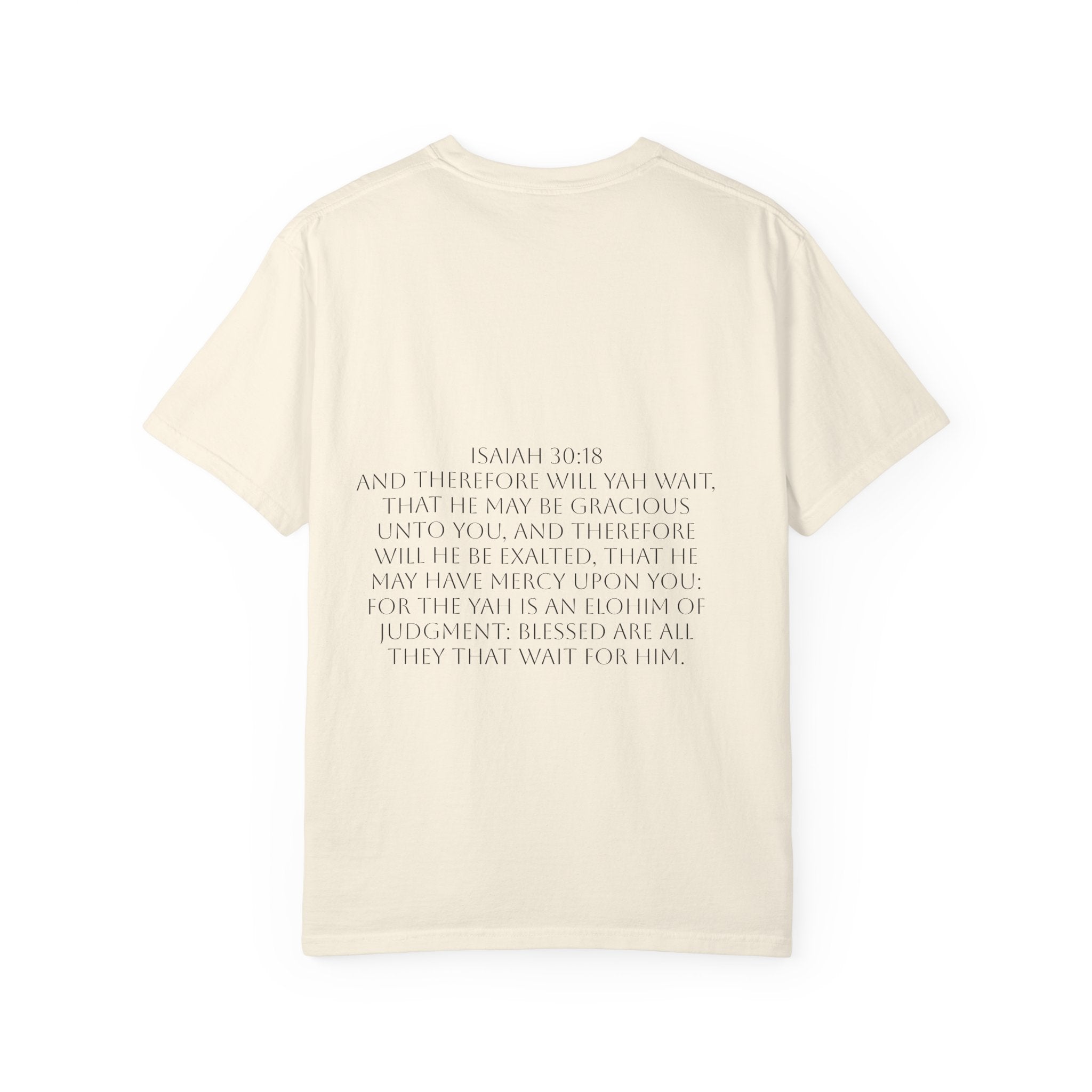 “YAH’s plans” Unisex Garment-Dyed T-shirt