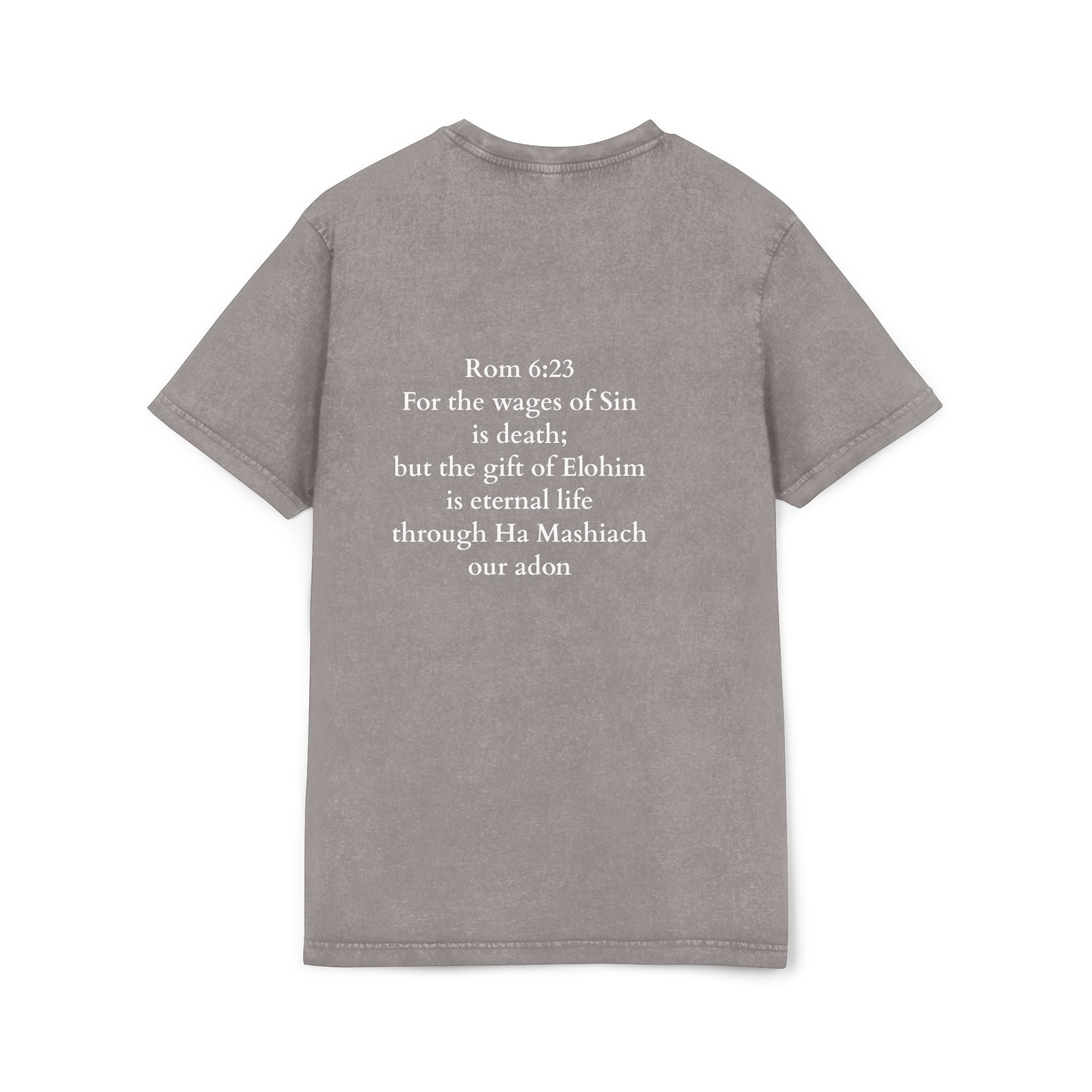 Men’s “Paid in full” Acid Washed Round Neck Tee