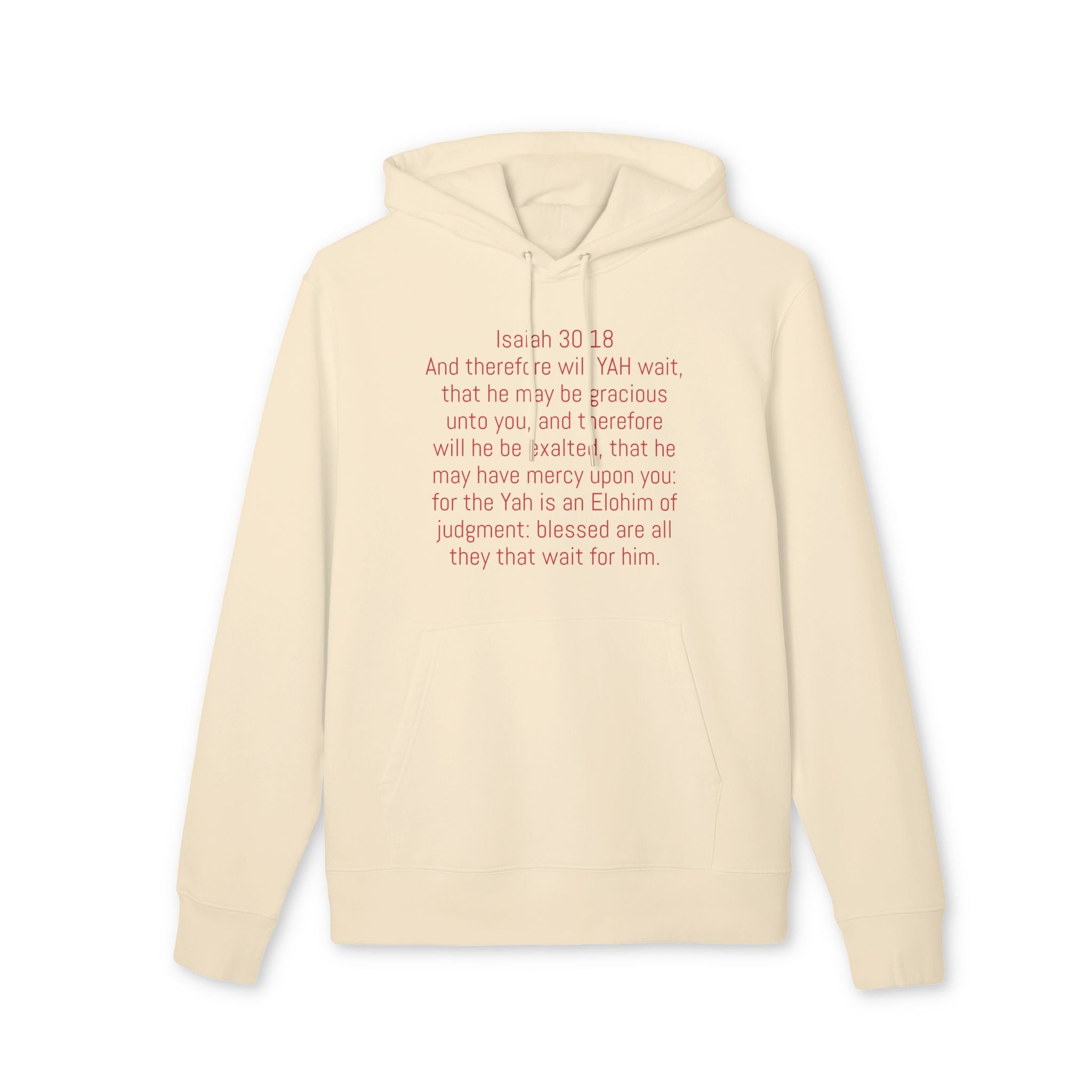 “YAH’S  plans” heavy Hoodie