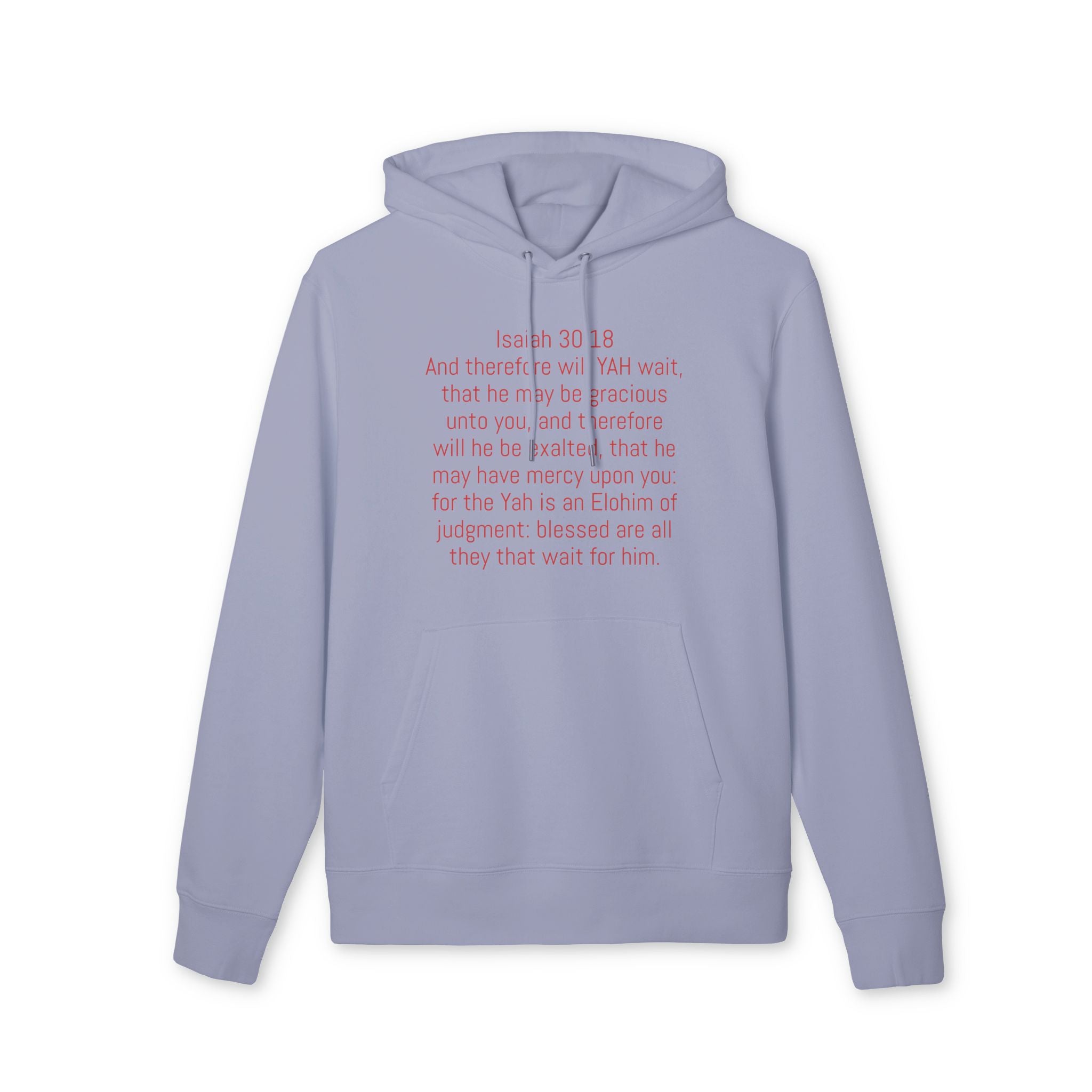 “YAH’S  plans” heavy Hoodie