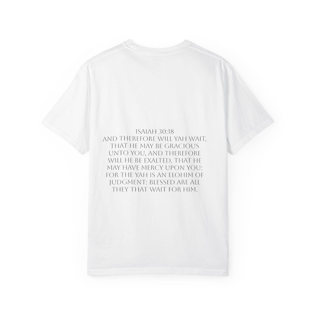 “YAH’s plans” Unisex Garment-Dyed T-shirt