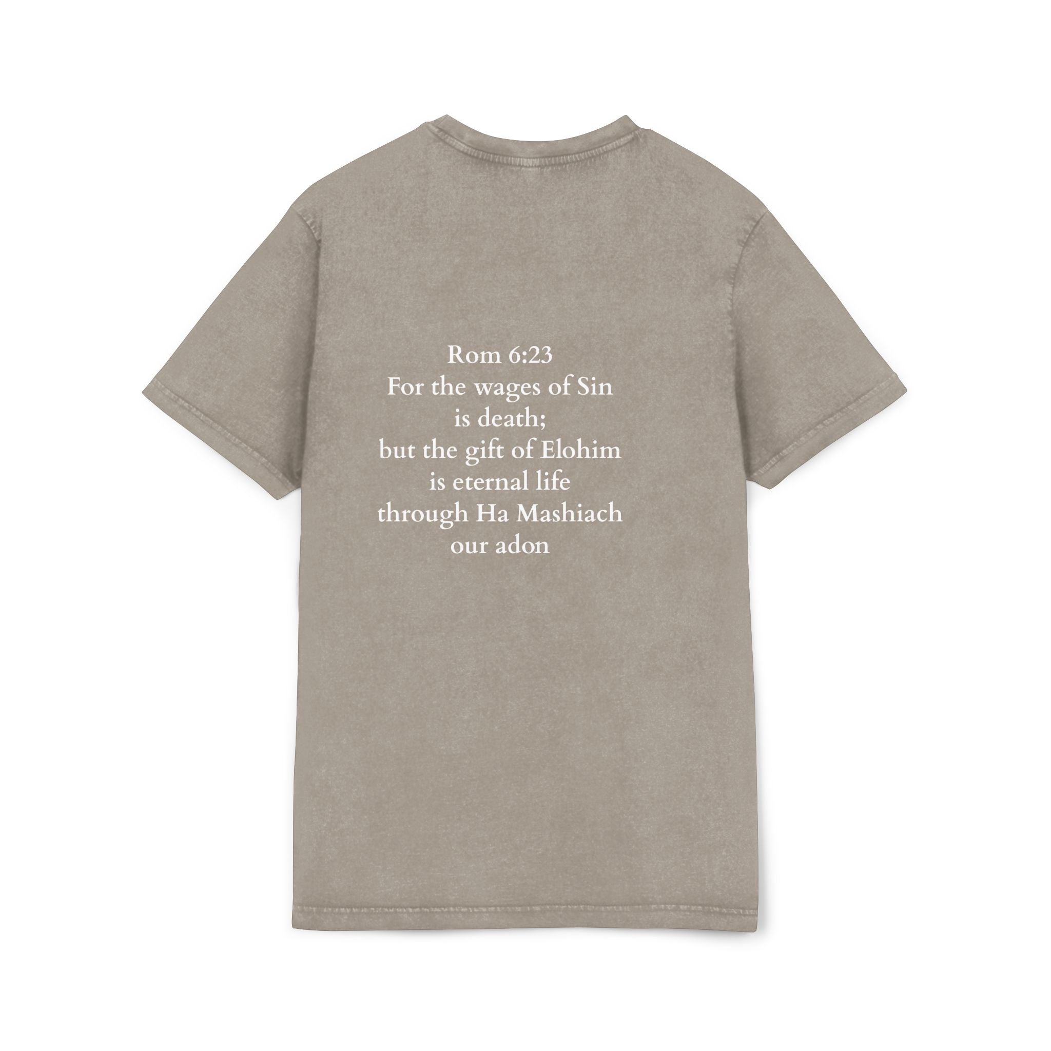 Men’s “Paid in full” Acid Washed Round Neck Tee