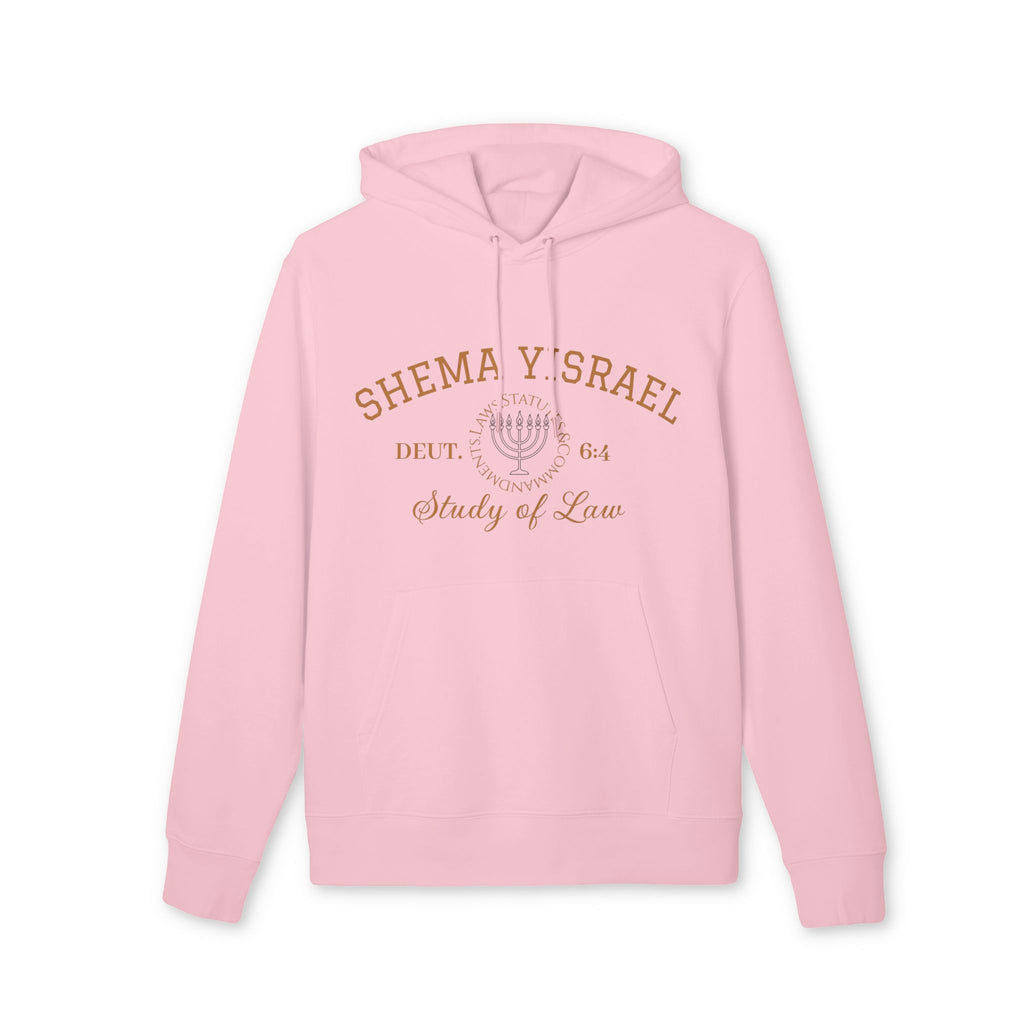 Unisex “Shema Yisrael School” Heavy hoodie